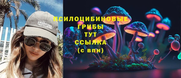 сатива Абдулино