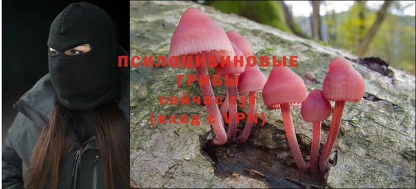 СК Навашино
