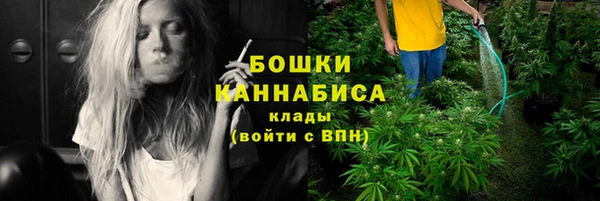 сатива Абдулино